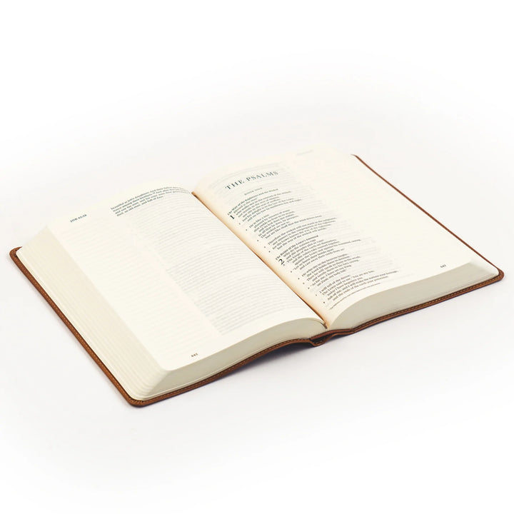 Hosanna Revival Bible Sierra Theme | Beautiful Bible | Journaling Bible